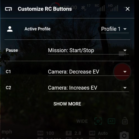 custom RC.png